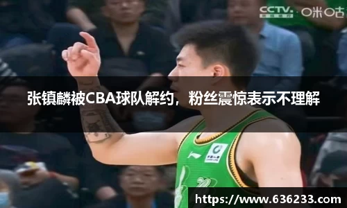 必一体育